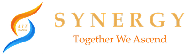 Synergy Logo